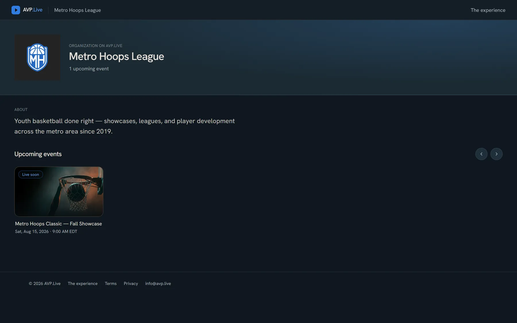 The Metro Hoops League organization page